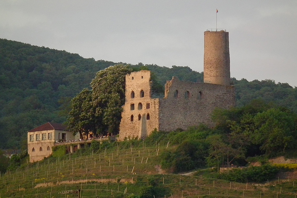 Strahlenburg (Schloss Strahlenberg) im Rhein-Neckar-Kreis