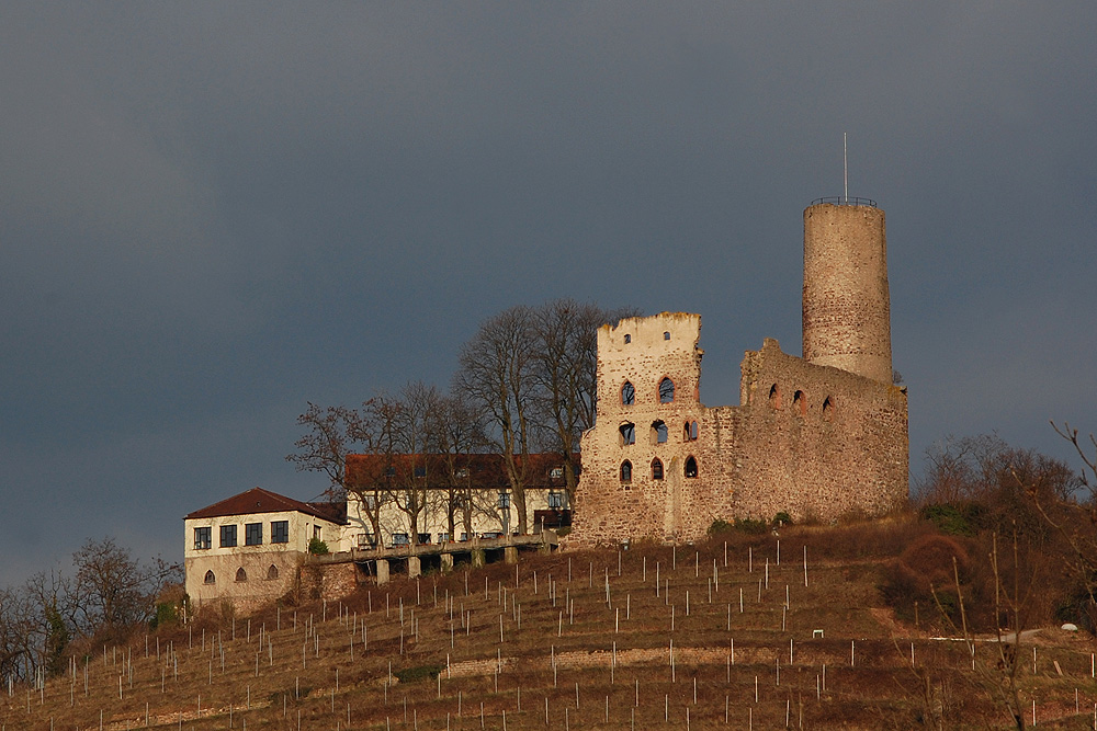 Strahlenburg (Schloss Strahlenberg) im Rhein-Neckar-Kreis