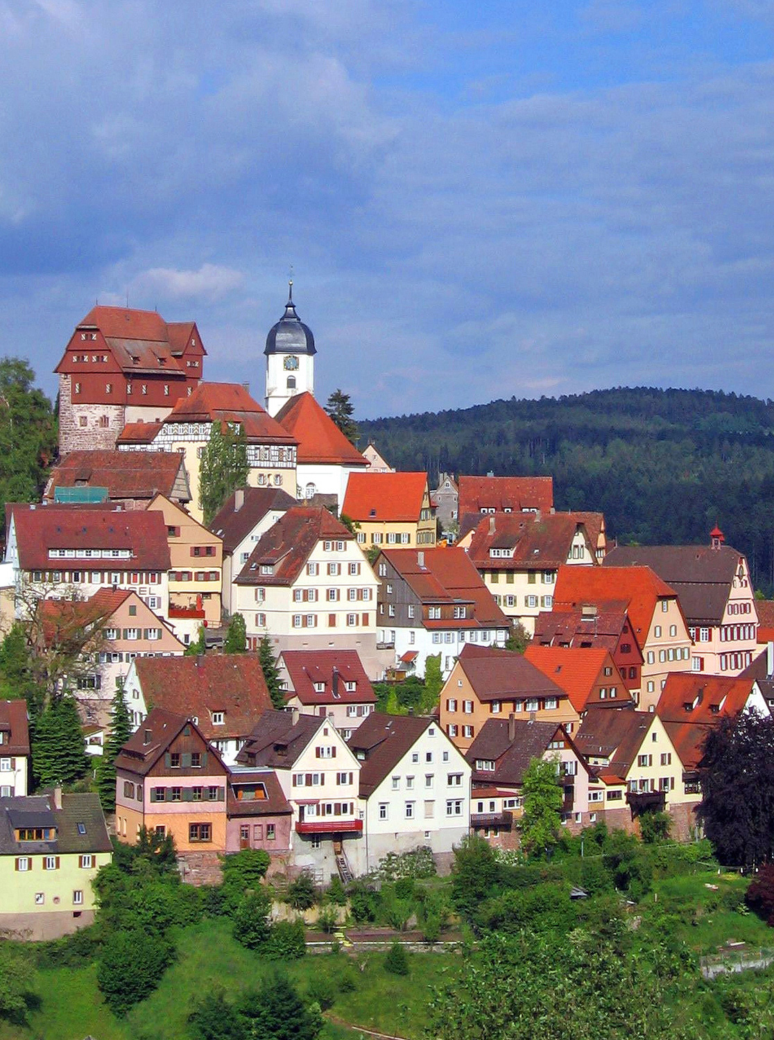 Altes Schloss Altensteig im Landkreis Calw