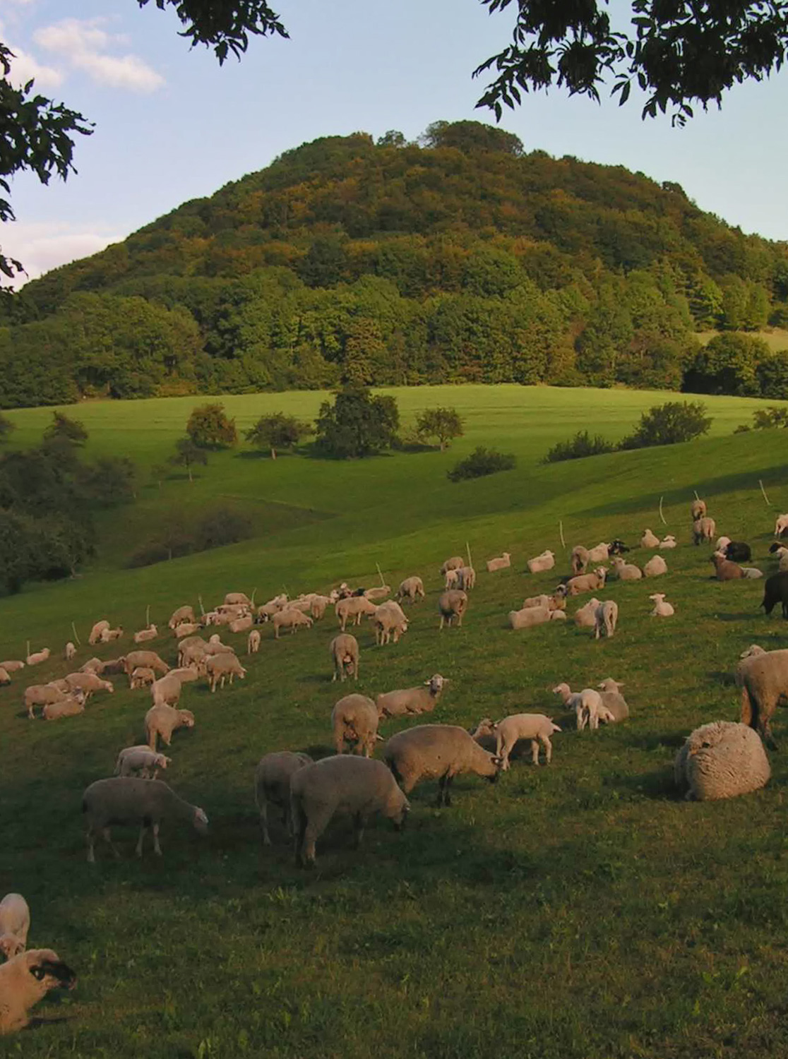 Burgruine Hohenstaufen im Landkreis Göppingen