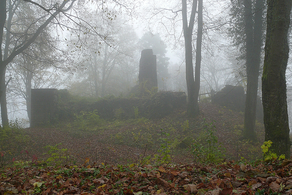 Burg Kranzberg (Veste Kransberg, früher auch Cranchs- oder Cranichsberg) im Landkreis Schwäbisch Hall