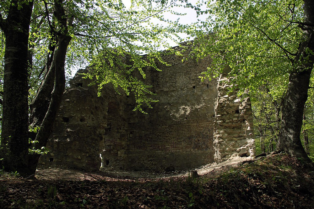 Burgruine Alter Turm Aach im Landkreis Konstanz