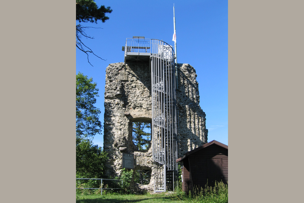 Burg Hohenhewen (Althewen, Hohenhöwen) im Landkreis Konstanz