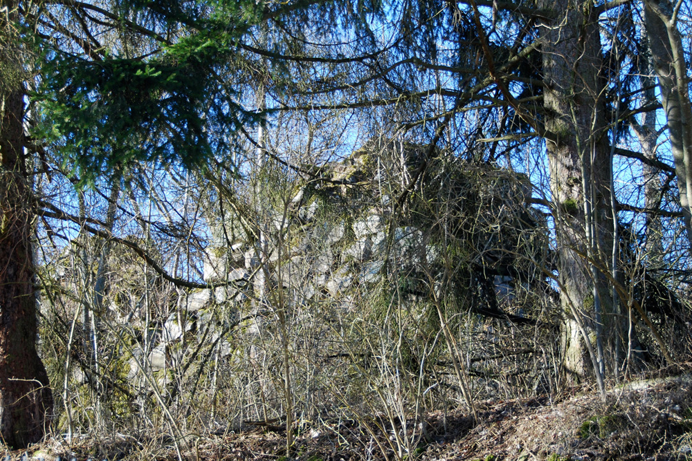 Burgruine Wartenberg (Geisingen) im Landkreis Tuttlingen