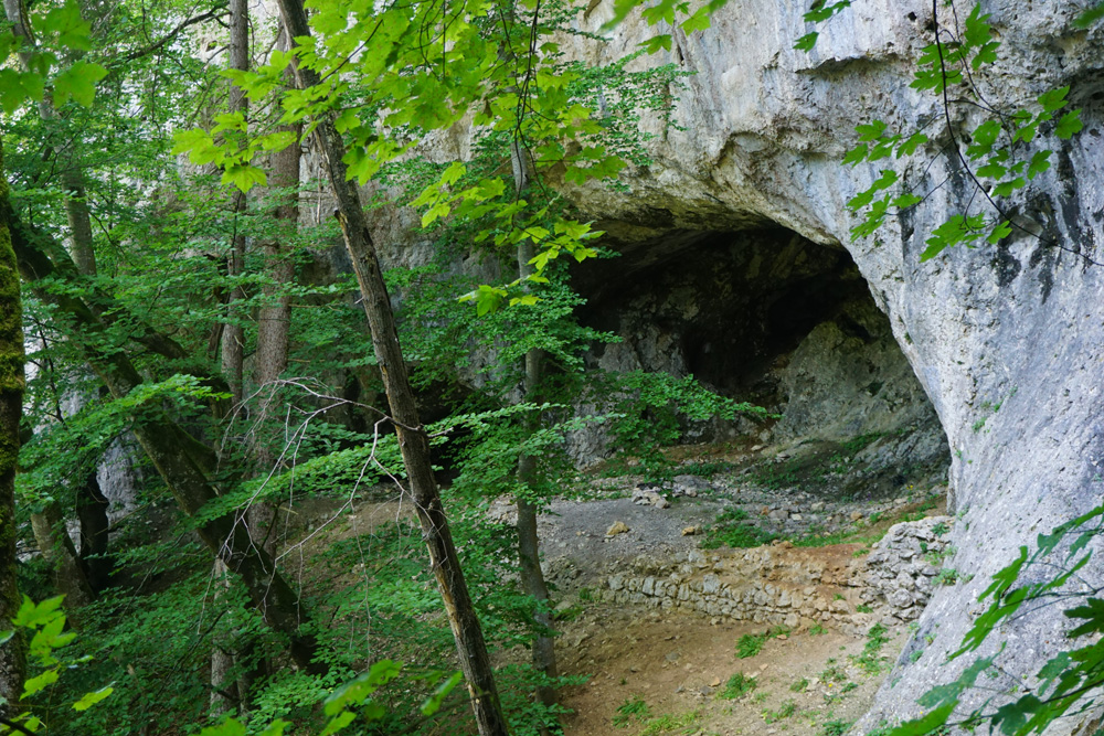 Burgruine Ziegelhöhlenburg (Ziegelenburg) im Landkreis Tuttlingen