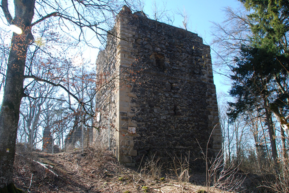 Burg Neuhewen (Stettener Schlössle, Schloss Neuhöwen) im Landkreis Konstanz