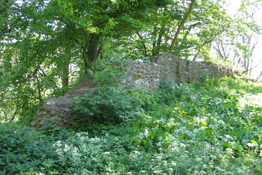 Nellenburg im Landkreis Konstanz