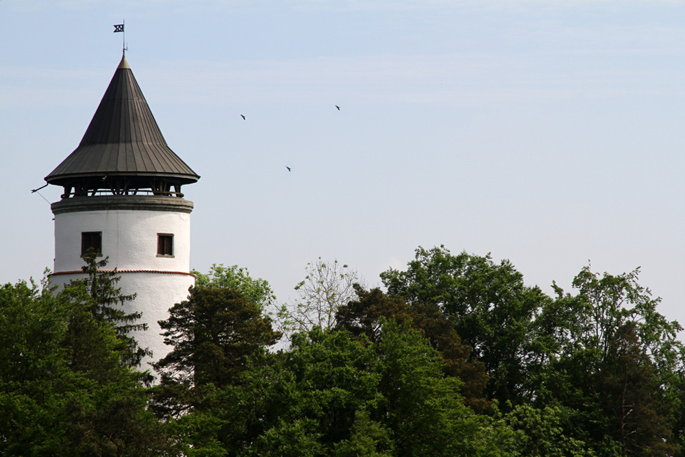 Ruine Hohenbodman im Bodenseekreis