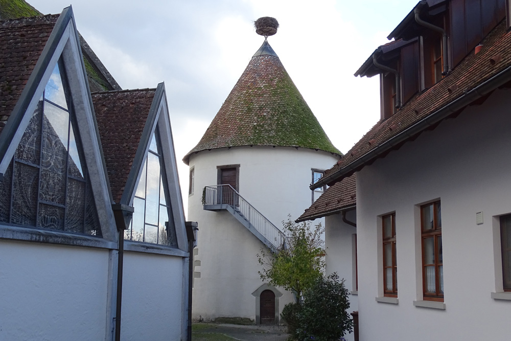 Burg(rest) Bohlingen (Feste auf der Burghalde, Baltzbronn-Schloss) im Landkreis Konstanz