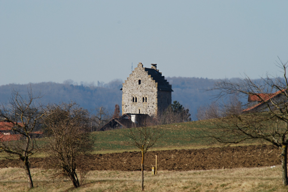 Burg Riedheim (Burgstall) im Landkreis Konstanz