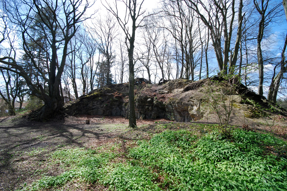 Burg(rest) Rosenegg (Hegau) im Landkreis Konstanz