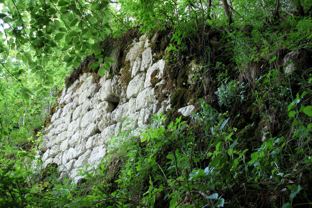 Burgruine Stiegelesfels im Landkreis Tuttlingen