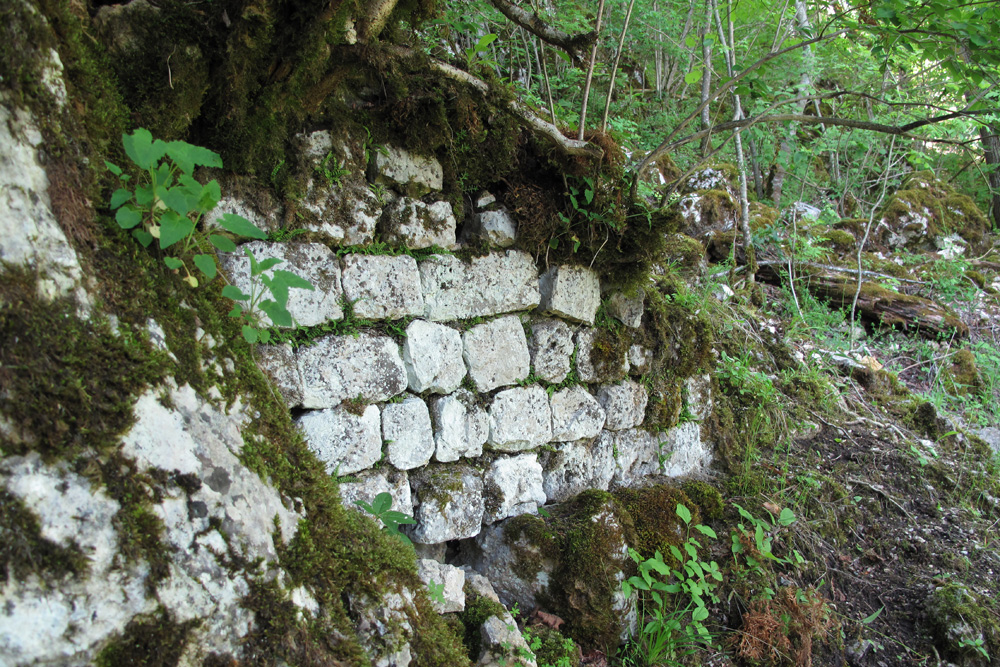 Burgruine Stiegelesfels im Landkreis Tuttlingen