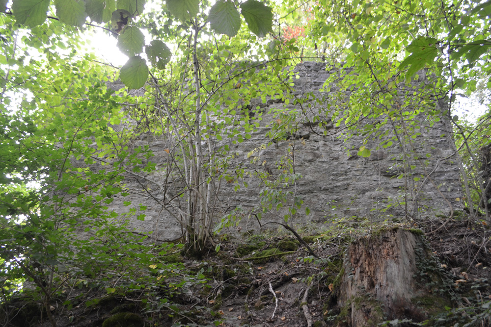 Burg Irslingen (Urslingen) im Landkreis Rottweil