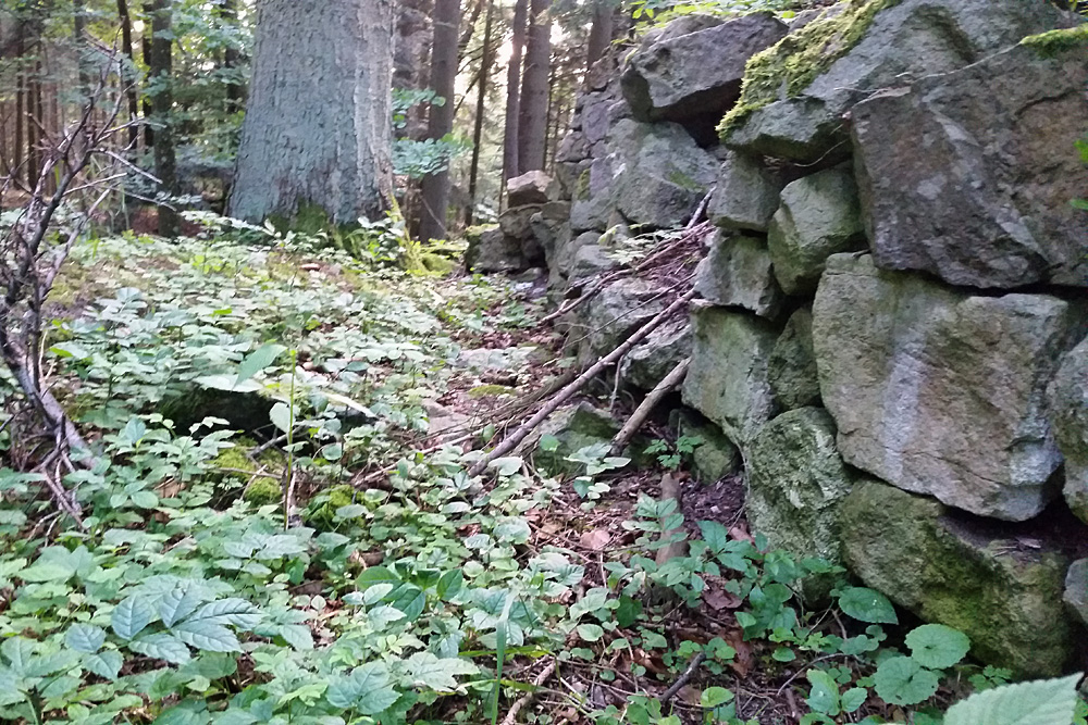 Burg Rotenzimmern (Rotazimbern) im Landkreis Rottweil