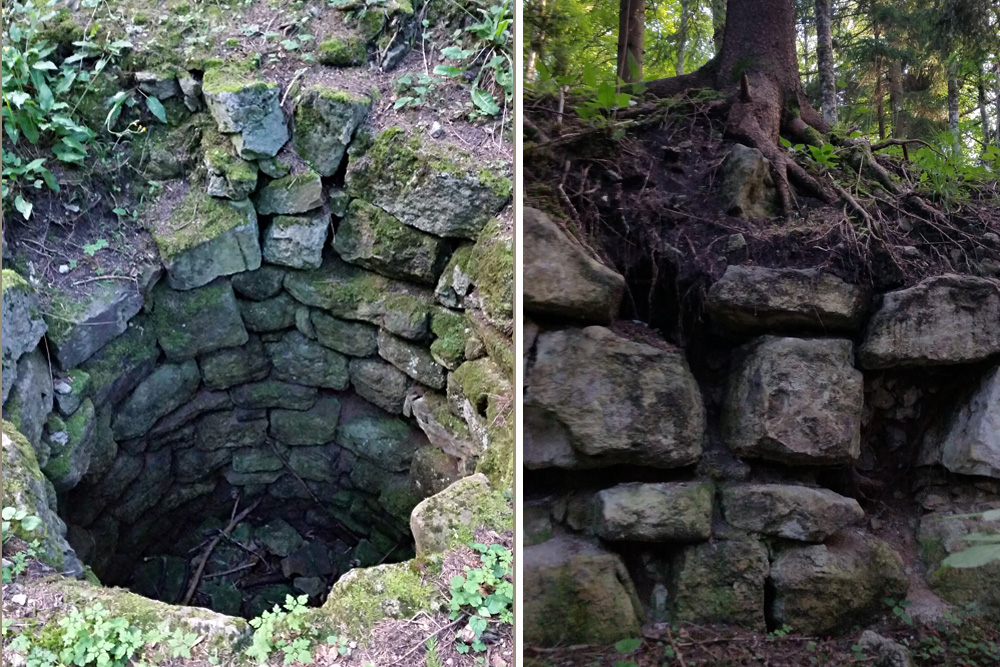 Burg Rotenzimmern (Rotazimbern) im Landkreis Rottweil