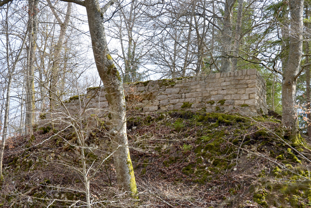 Burgruine Wehingen (Harrasburg) im Landkreis Tuttlingen