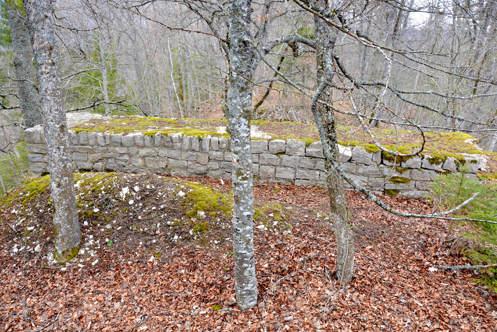 Burgruine Wehingen (Harrasburg) im Landkreis Tuttlingen