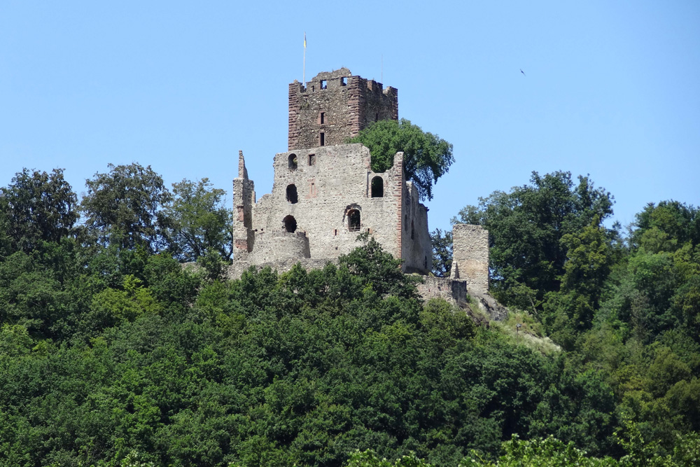 Kastelburg (Waldkirch) im Landkreis Emmendingen