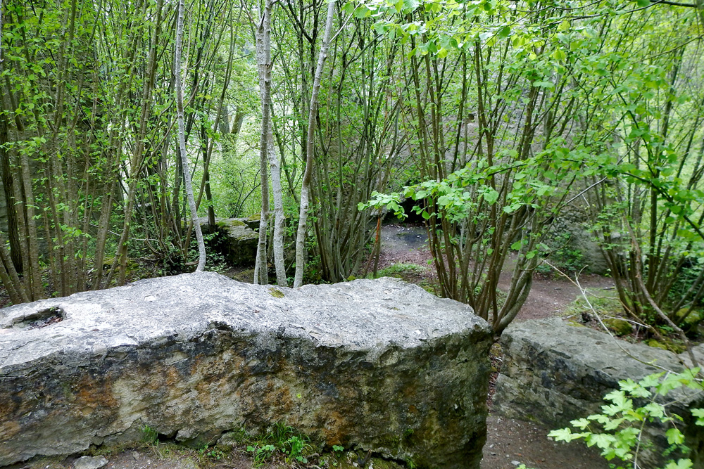 Neckarburg im Landkreis Rottweil