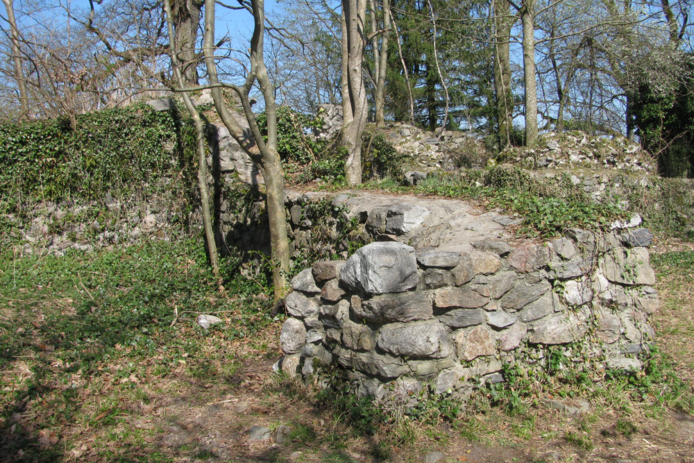 Ruine Ebersberg im Bodenseekreis