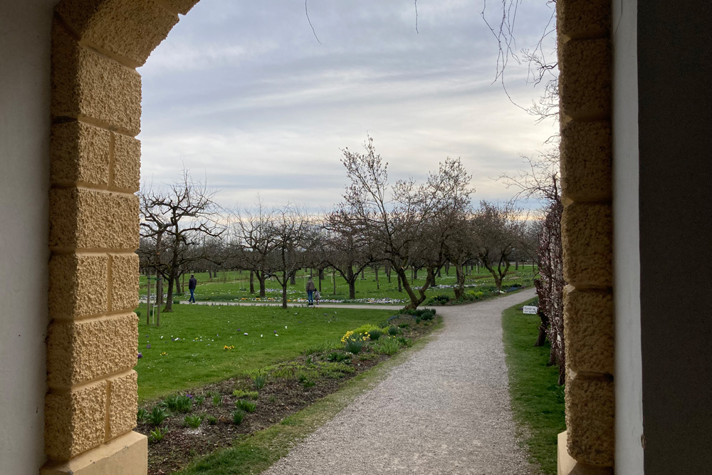 Schloss Dachau im Landkreis Dachau